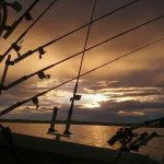 mega bite charter fishing